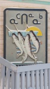 Sadly the only Narwhals that I saw in Pond Inlet on the sign for the library.